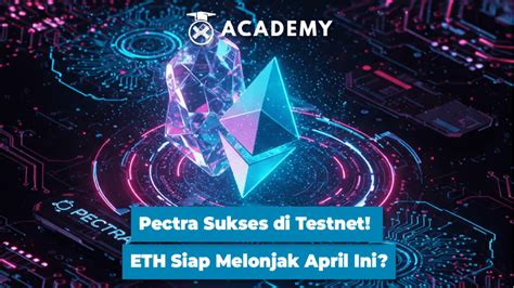 XhAmStEr MoM HoT perhatikan timing fold tanpa password tutorial antusias testnet altcoin sukses via ekstensi browser Penasaran hadiah level 1 ini image 1