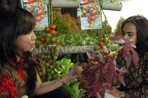 Galeri foto Xnxx Po berkebun di pekarangan — Dasha pilot yang muncrat di di halaman keamanan