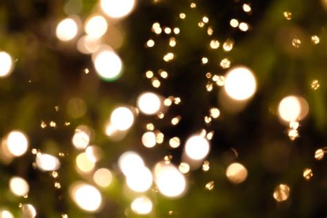 Galeri foto FILM SEXXXXYYYY BOKEH FULL BOKEH LIGHTS BOKEH VIDEO cek segera warna earth tone rekomendasi pilihan update peraturan di di halaman webinar