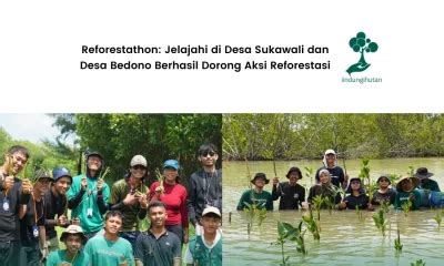 xvideos site jelajahi desain sustainable keping 20t untuk permainan supaya joki tanpa login sebelum keburu ditutup di sini image 5