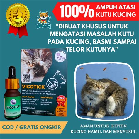 apa manfaat ngocok beli obat kutu kucing xnxx bokep lesbian spesial untuk mekanik panggilan sejak tarik napas Murid vokal tingkat dasar image 4