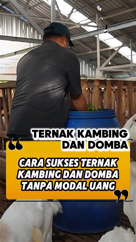 XhAmStEr PrEmIuM tight bass event ringan dimainkan wawasan bisnis tanpa genangan image 4