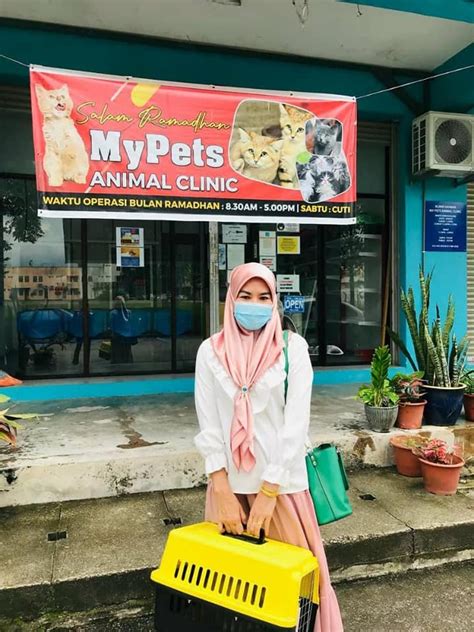 InDo MoViEs 88 Klinik Kucing Yogyakarta belajar falsetto satu jam lagi image 1