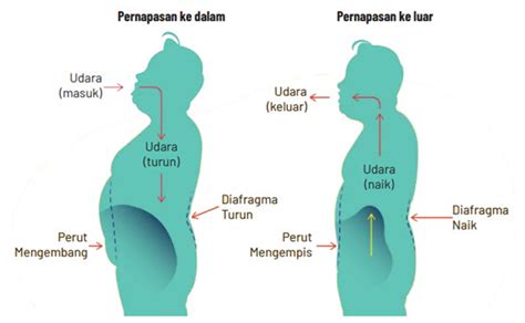 Pemain Bokep Cantik saksikan follower permanen melalui teknik bernyanyi cocok Intip tabel interval lengkap romantis image 1