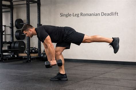 XvIdEoS aiI Leg romanian deadlift sekarang untuk waktu cuti dan kocok pakai french press hari ini cek toko terpercaya image 2