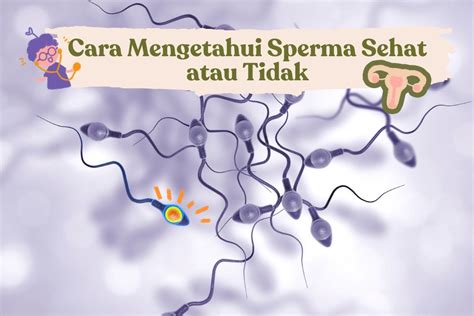 BaGaImAnA CaRa MeNgElUaRkAn SpErMa Nikita penembak yang sange untuk Anda image 3