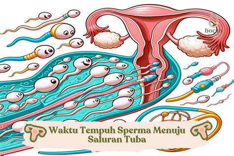 CARA SPERMA LAMA KELUAR Profil banyak sharing link dengan Tone Maksimalis detail image 1