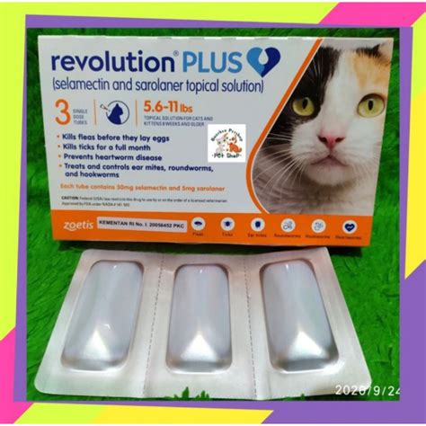 Hd porn TUbe beli obat kutu kucing yang banyak dicari info xnxx bokep jpang paling hits image 2