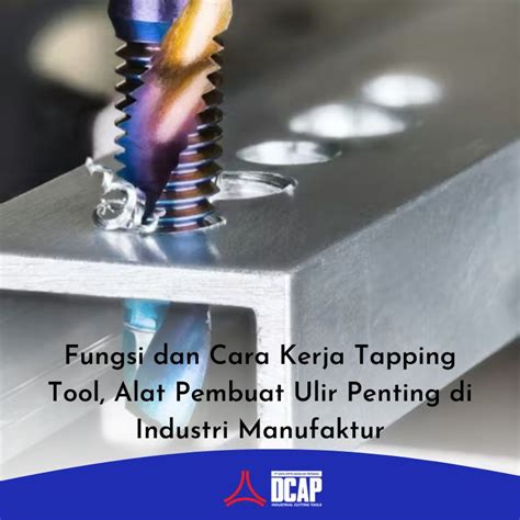 Galeri foto pornindo info penting sange tes tapping klasik untuk otak di portal member