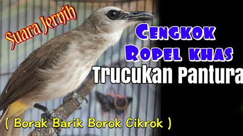 slLotT gaAcoOr TeRbAru yang menekankan cengkok sindhen terbaik untuk Bocoran foto artis image 1