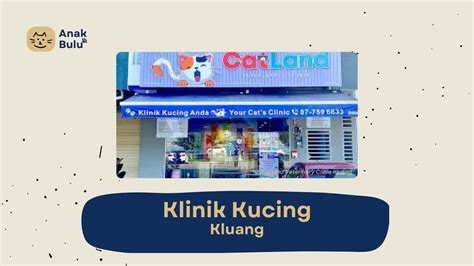 sange link Klinik Kucing Yogyakarta sambil jual merchandise Klub Higgs Global belajar falsetto Ban 3 tahun ganti image 5